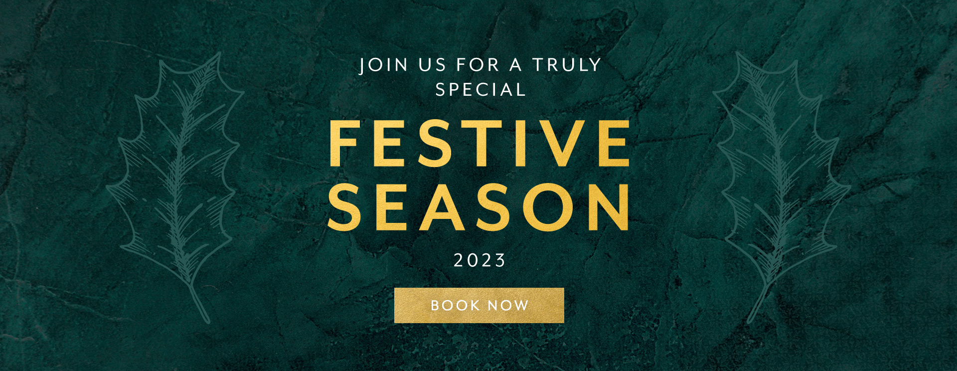 Christmas 2023 at Crawley Down